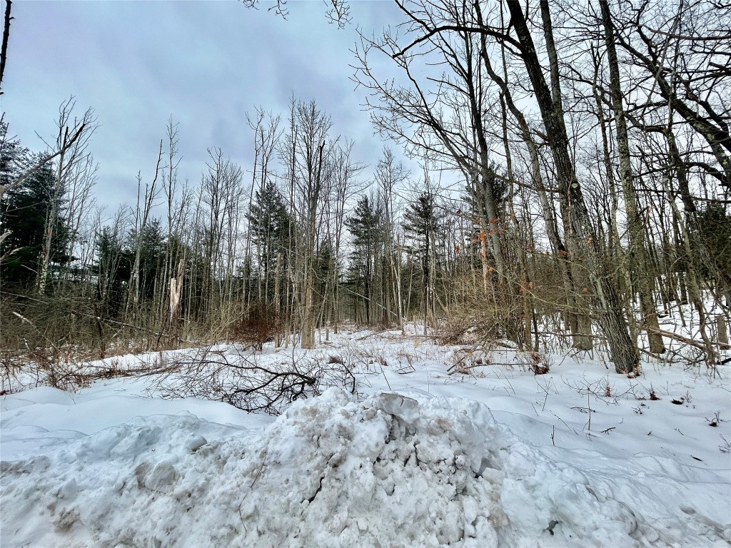 3245 Brown Road Binghamton, NY 13903 - Photo 4 of 8 Gallery Image 4