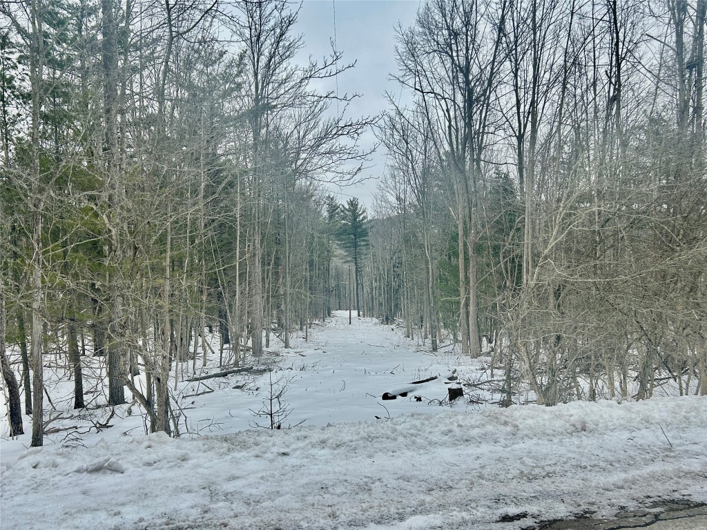 3245 Brown Road Binghamton, NY 13903 - Photo 6 of 8 Gallery Image 6