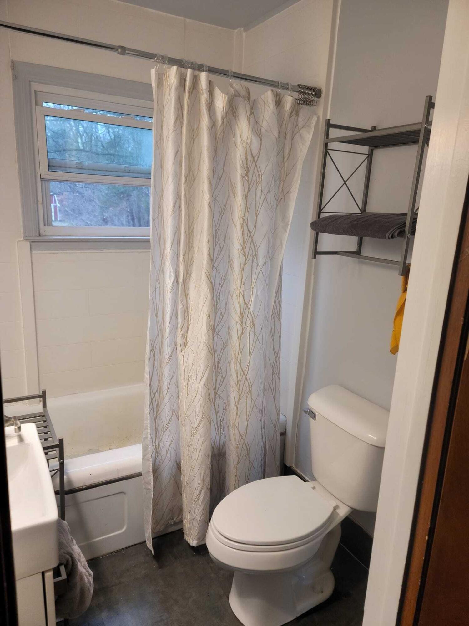 15486 Turner Road Lansing, MI 48906 - Photo 16 of 24 bath down