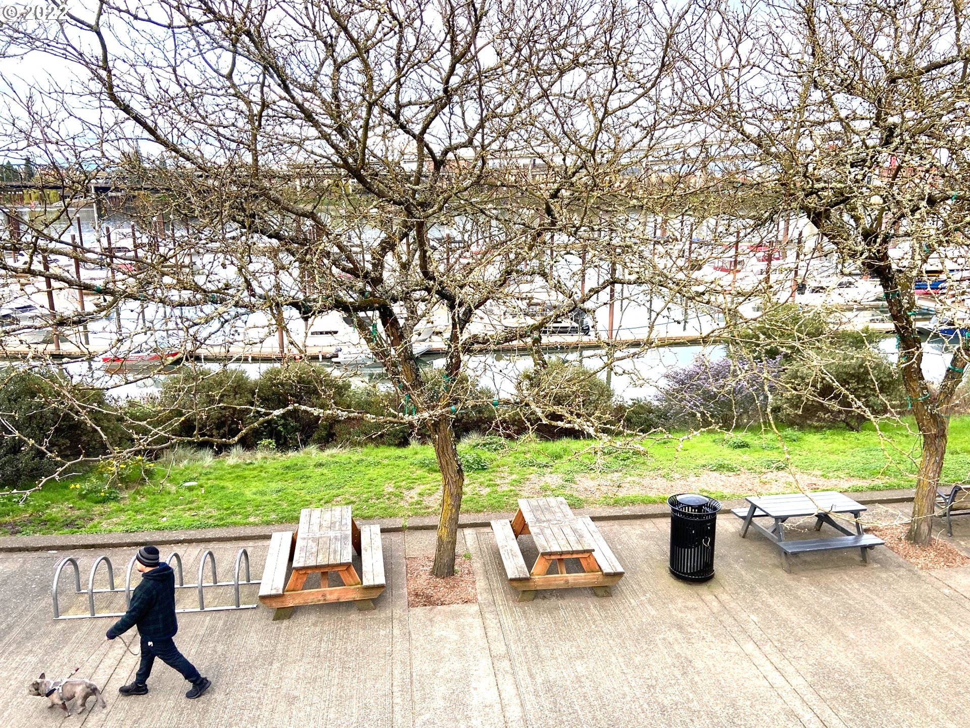 1730 South Harbor Way, Unit 405 Portland, OR 97201 - Photo 30 of 32 a view of an outdoor space with seating area and trees around