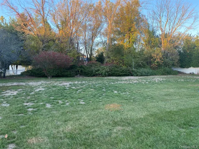 a view of a field of grass and trees