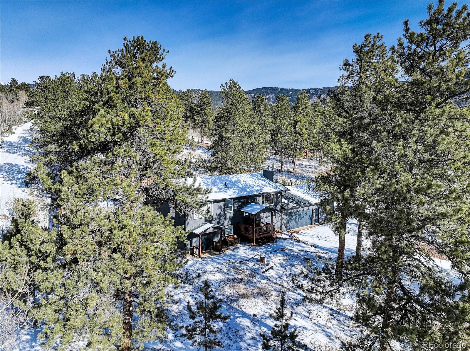 95 Fitzsimmons Road Bailey, CO 80421 - Photo 37 of 38 a view of a yard with a tree