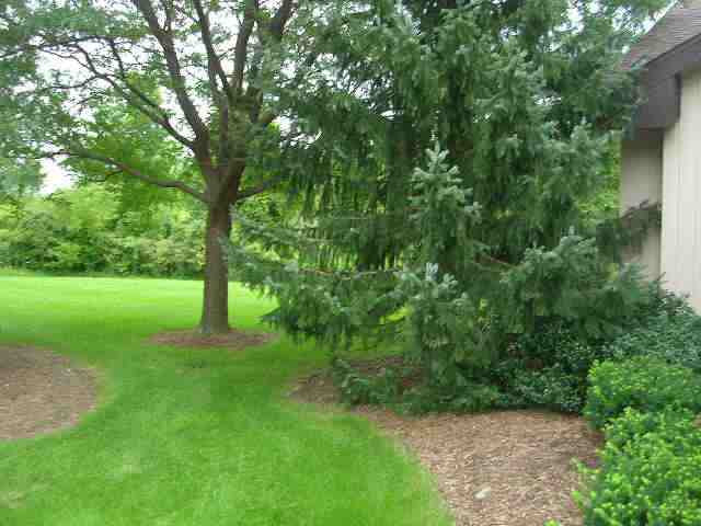 51 Harvard Road Colonie, NY 12189 - Photo 10 of 11 Photo 10