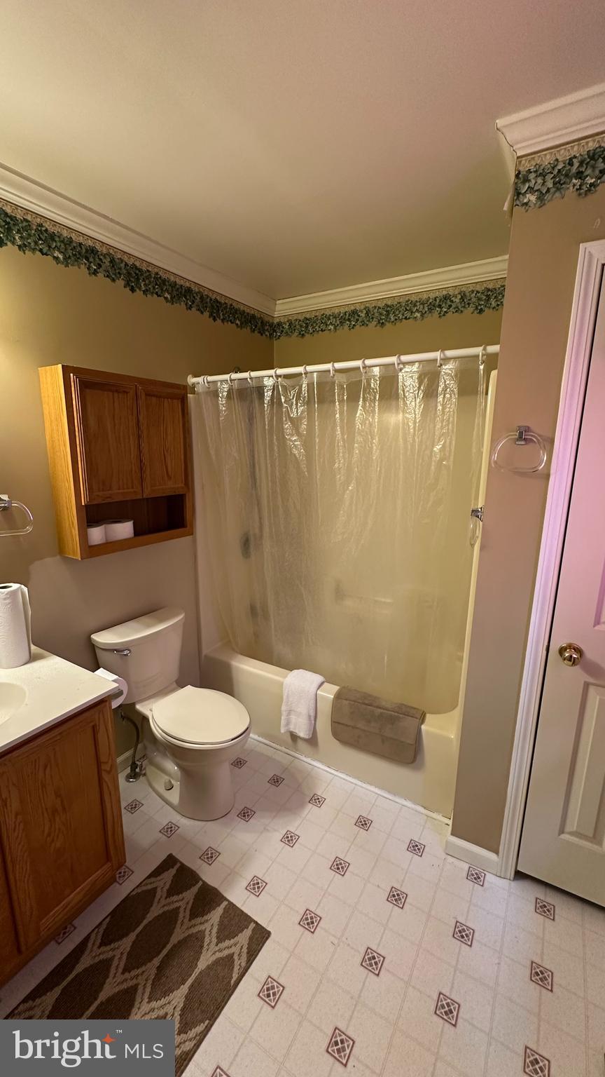 2301 South Page Valley Road Luray, VA 22835 - Photo 51 of 66 a bathroom with a sink a toilet a mirror and shower