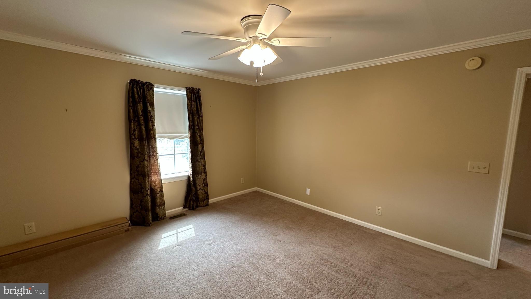 2301 South Page Valley Road Luray, VA 22835 - Photo 53 of 66 an empty room with closet and windows