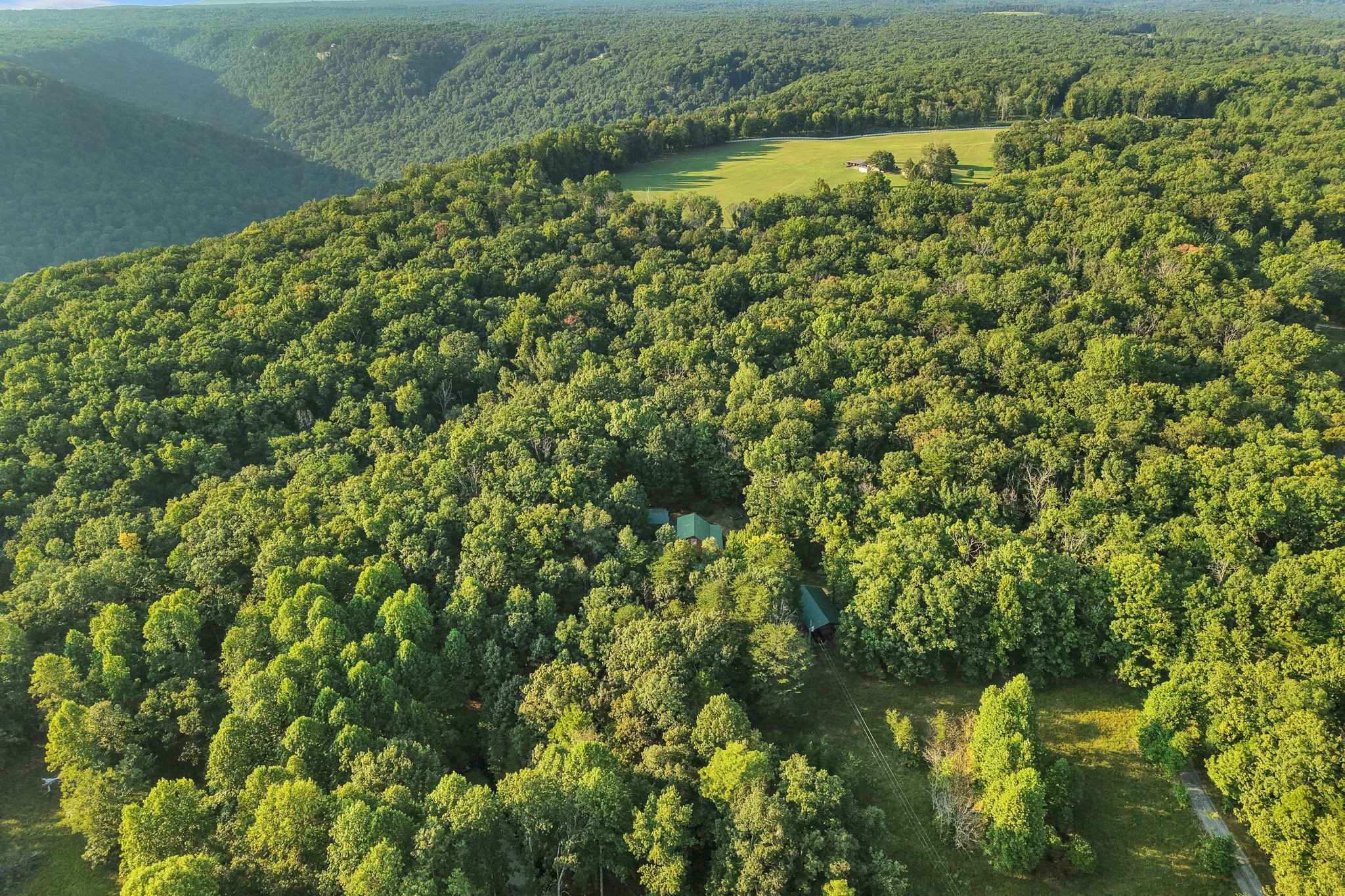 3200 Partin Farm Road Tracy City, TN 37387 - Photo 39 of 39 Gallery Image 39
