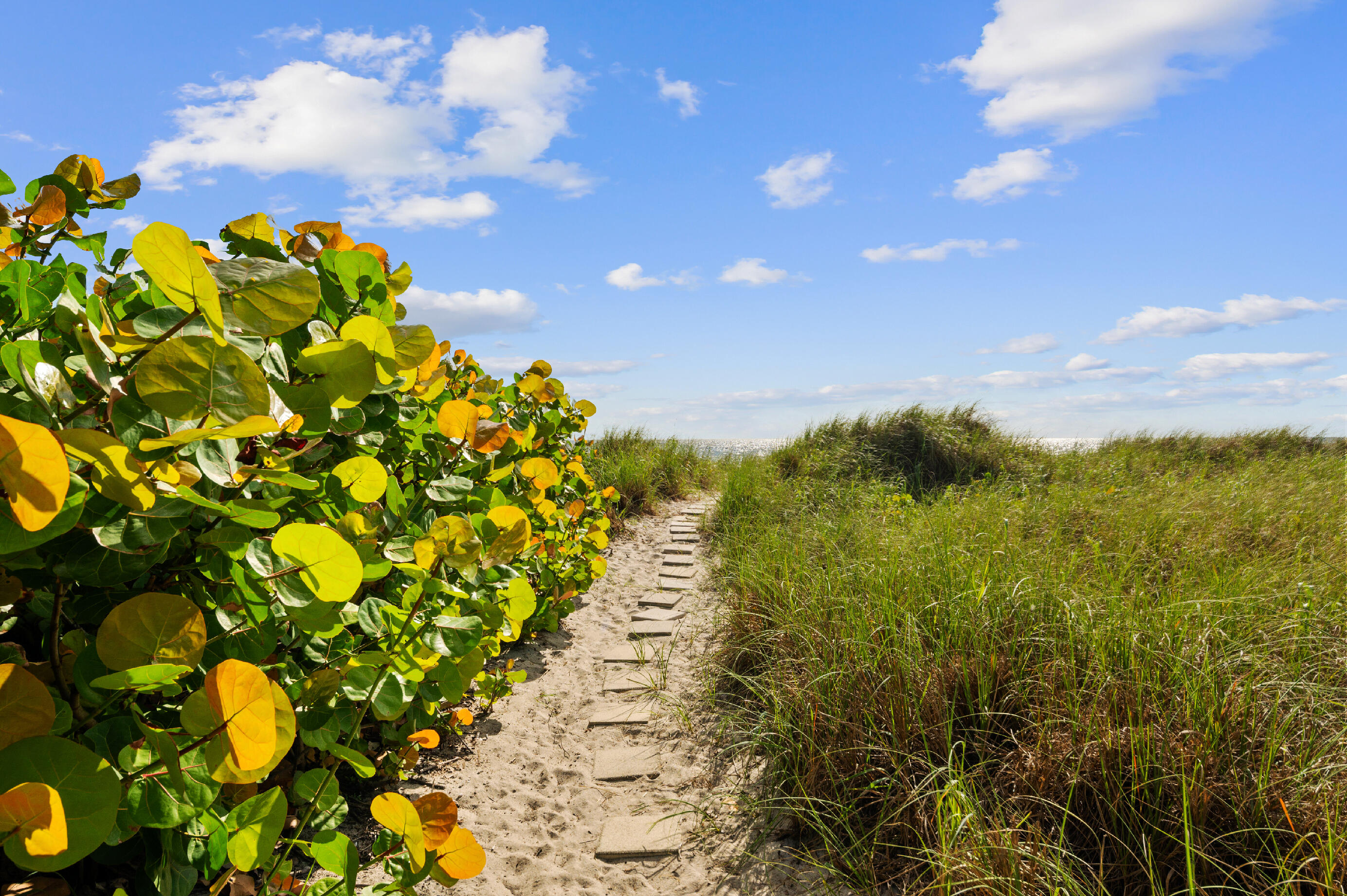 2200 South Ocean Boulevard, Unit 401 Delray Beach, FL 33483 - Photo 42 of 57 Deeded Beach Entry Path 4