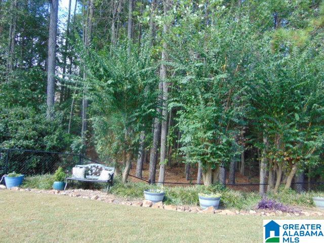 1117 Weybridge Road Pelham, AL 35124 - Photo 27 of 29