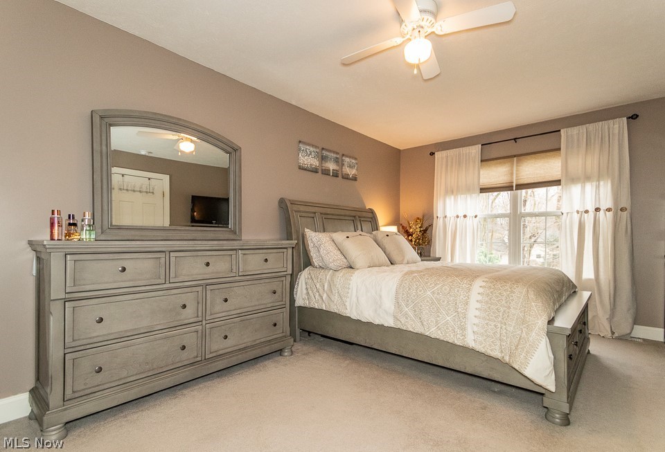 242 Overlook Road Painesville, OH 44077 - Photo 12 of 33 Spacious owner's bedroom