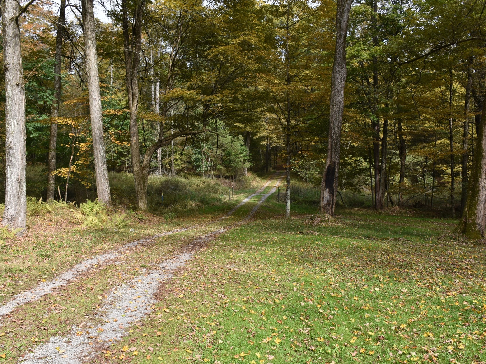 33381 State Rte 27 Guys Mills, PA 16327 - Photo 9 of 36 Gallery Image 9