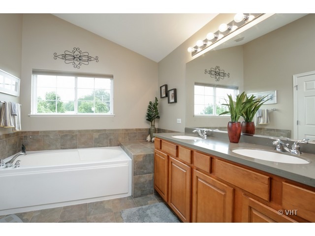 3038 Range Road Elgin, IL 60124 - Photo 9 of 10 a bathroom with a tub a sink and mirror