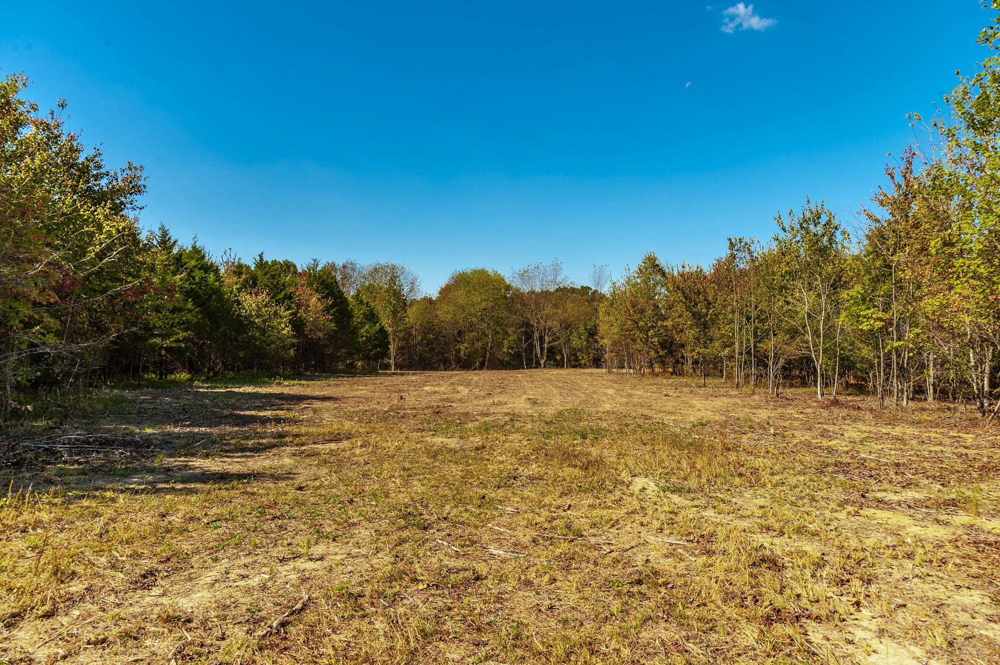 5 Rock Bridge Road Bethpage, TN 37022 - Photo 11 of 19