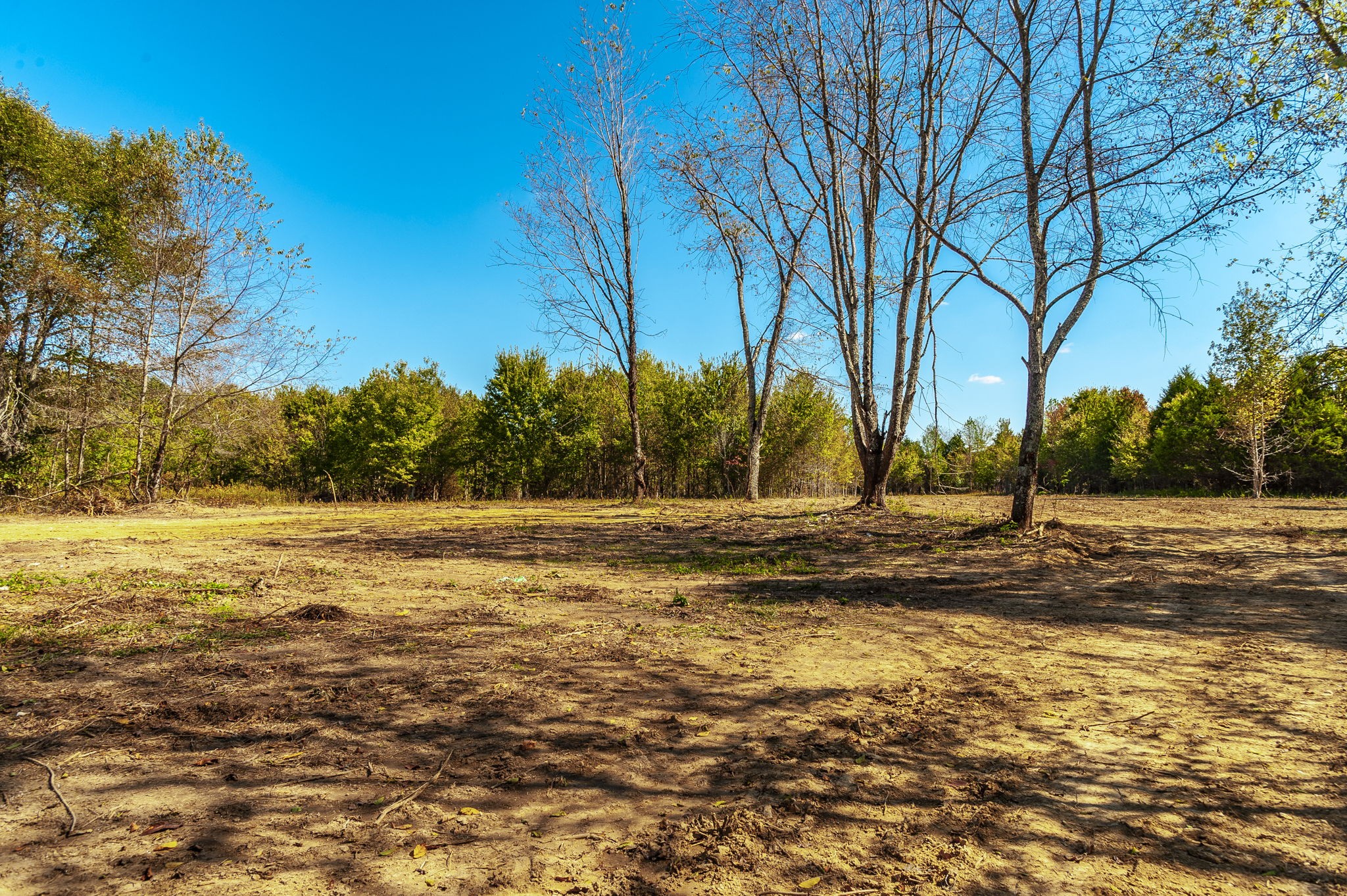 5 Rock Bridge Road Bethpage, TN 37022 - Photo 12 of 19 a view of a yard with palm trees