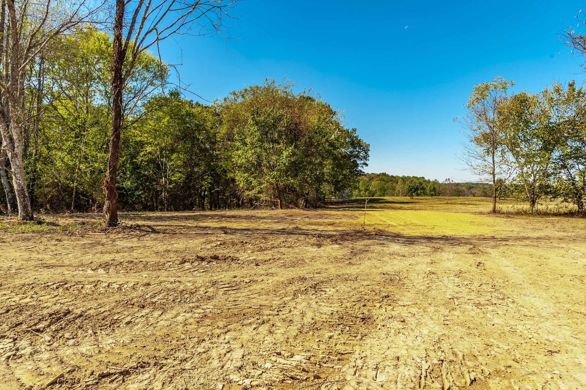 5 Rock Bridge Road Bethpage, TN 37022 - Photo 13 of 19 a view of yard with swimming pool and trees