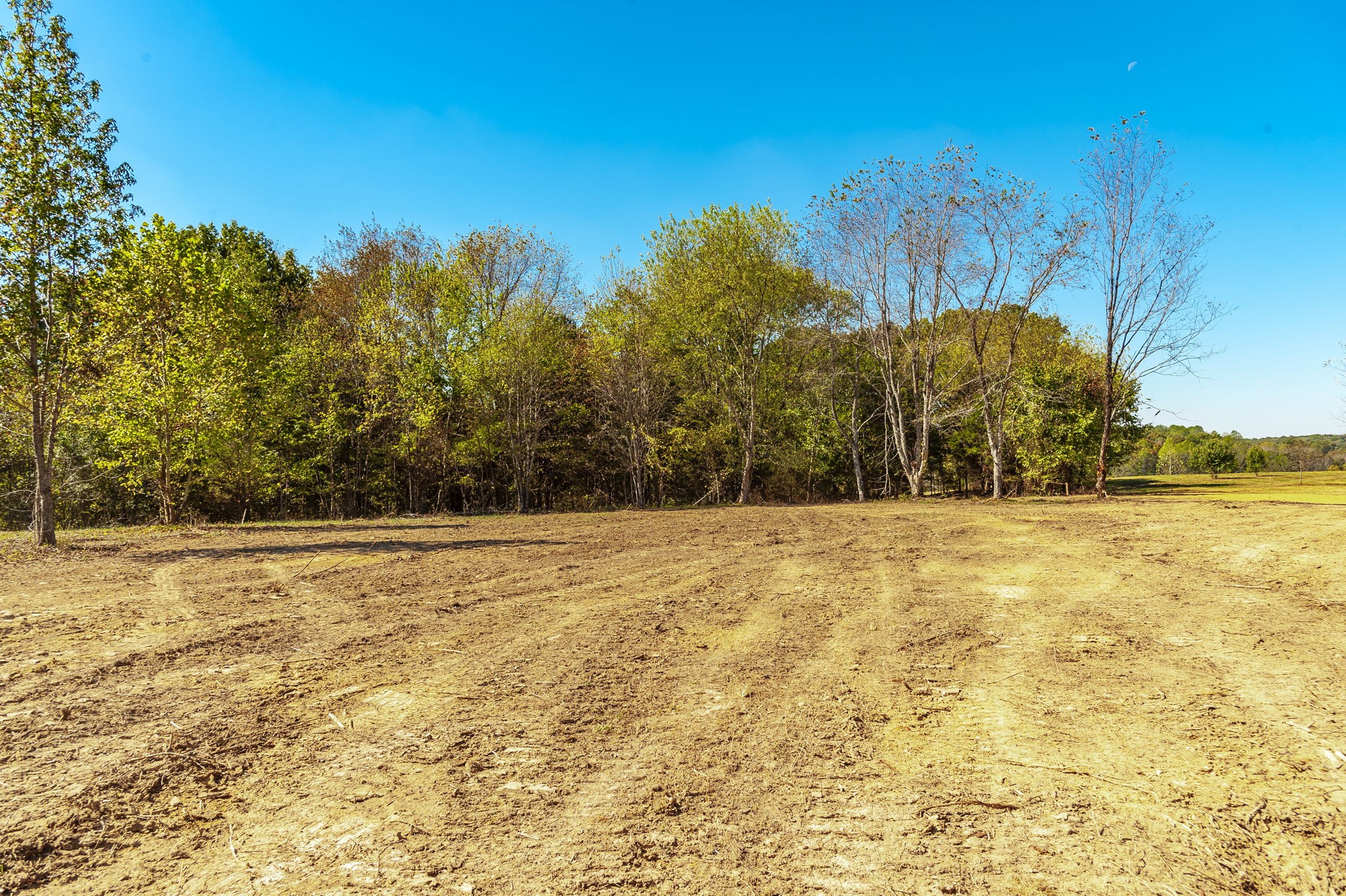 5 Rock Bridge Road Bethpage, TN 37022 - Photo 14 of 19 a view of swimming pool and trees