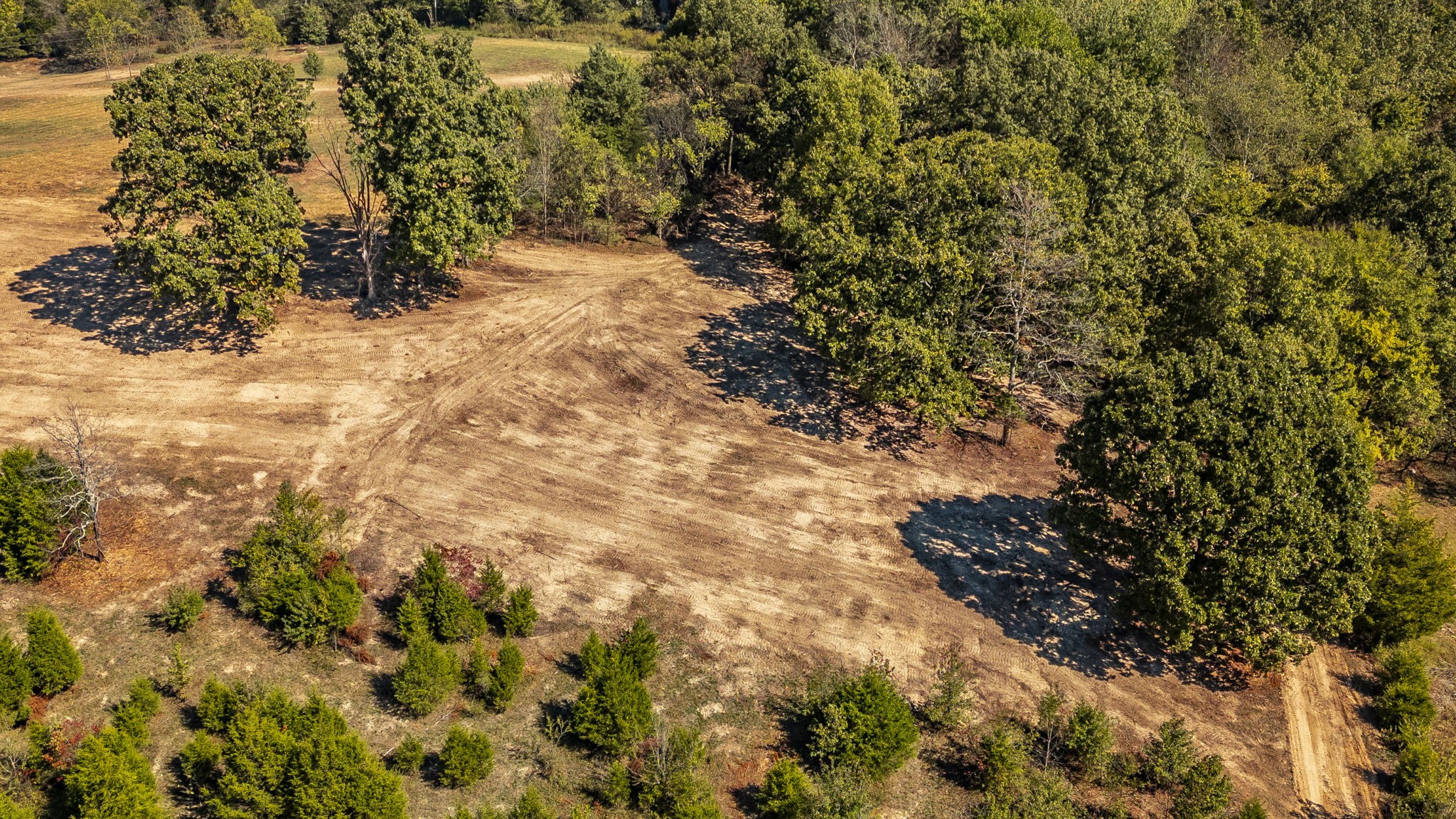 5 Rock Bridge Road Bethpage, TN 37022 - Photo 18 of 19 a view of a yard with trees