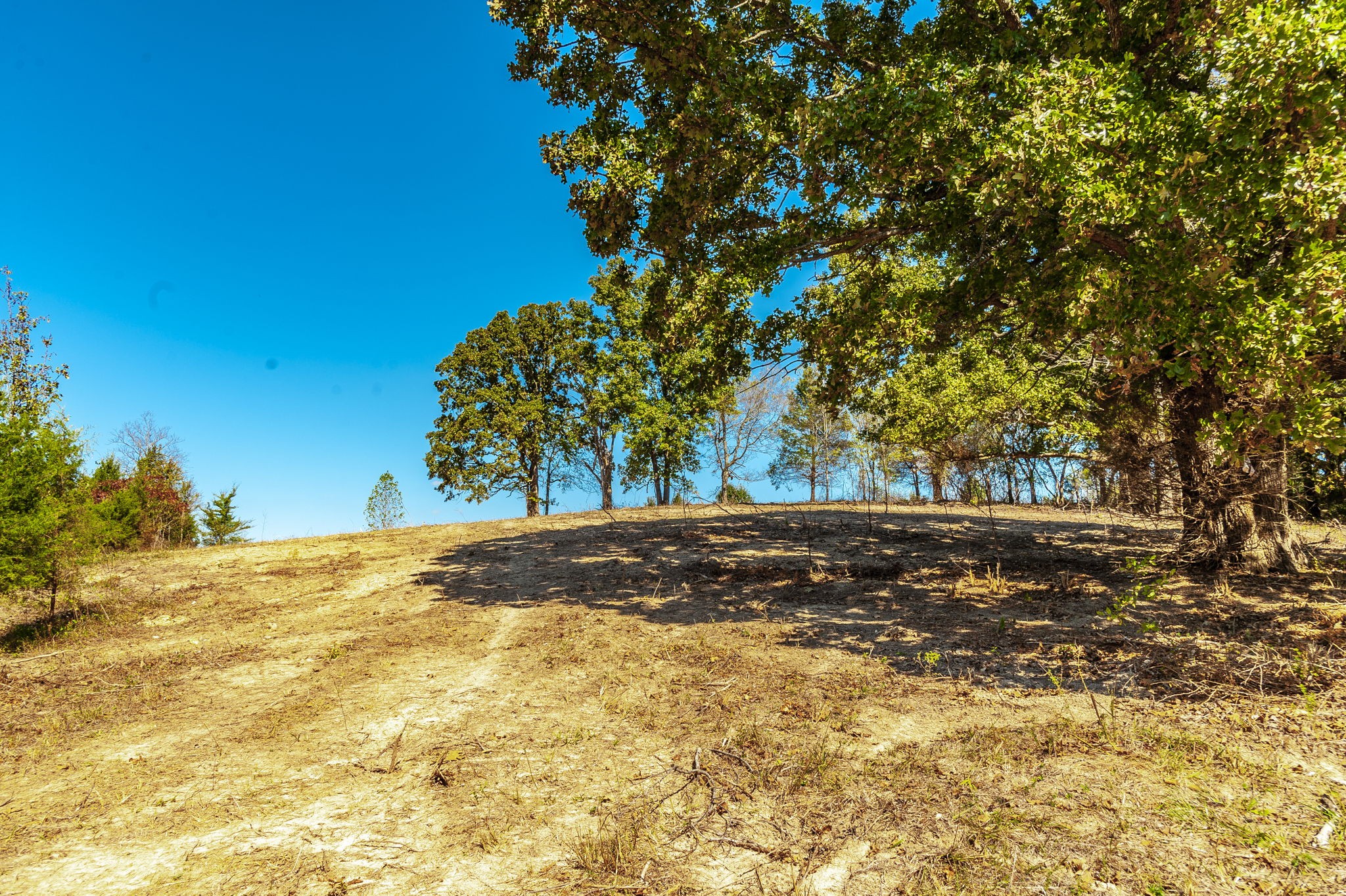 5 Rock Bridge Road Bethpage, TN 37022 - Photo 5 of 19 a view of a yard
