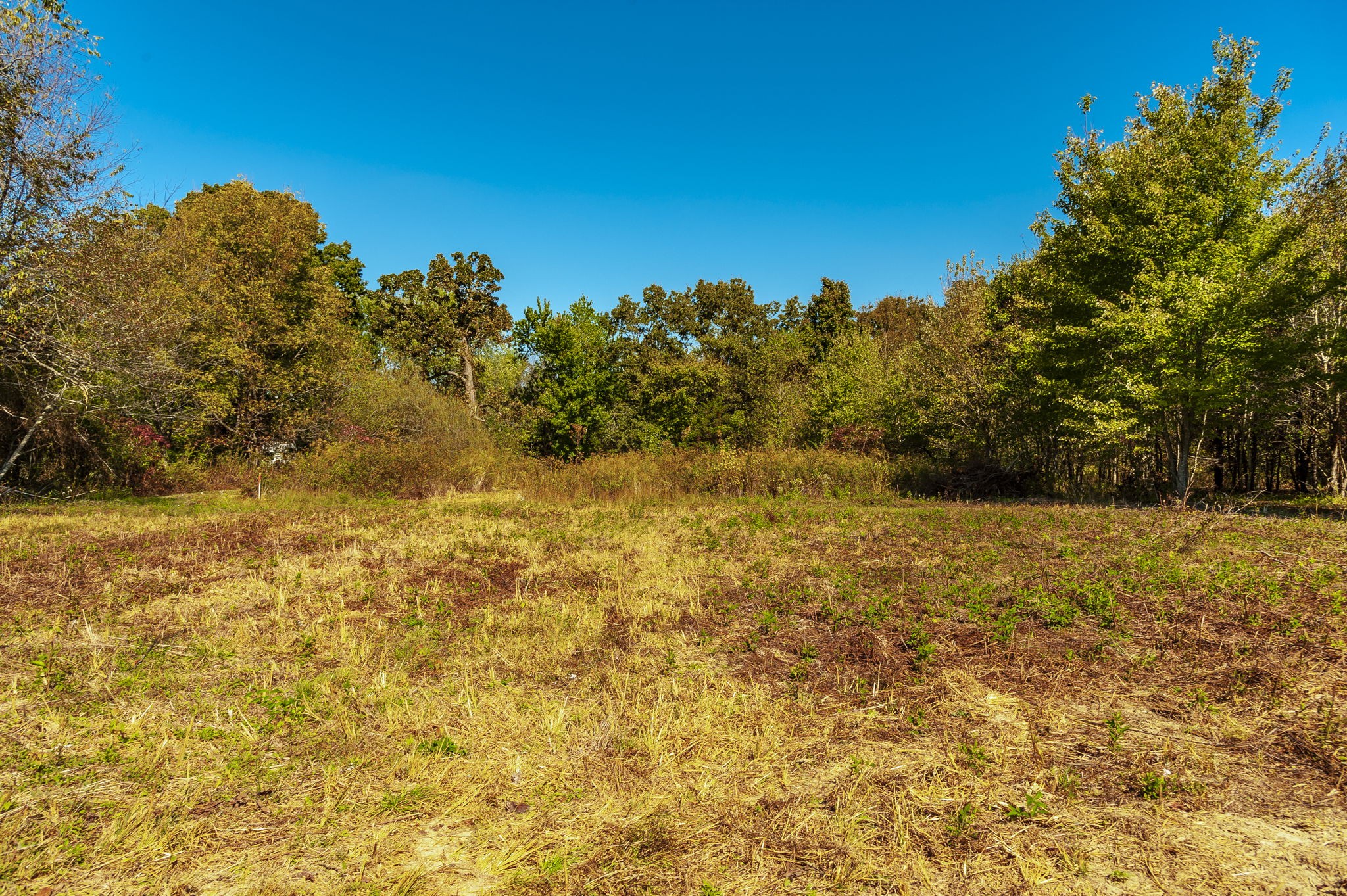 5 Rock Bridge Road Bethpage, TN 37022 - Photo 8 of 19 a view of a yard