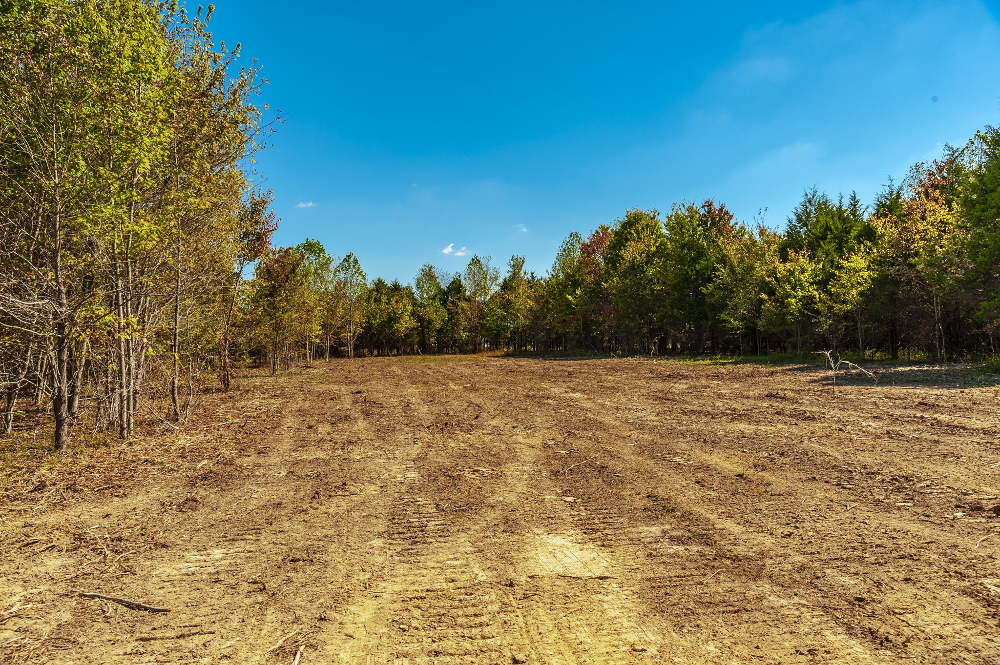 5 Rock Bridge Road Bethpage, TN 37022 - Photo 9 of 19