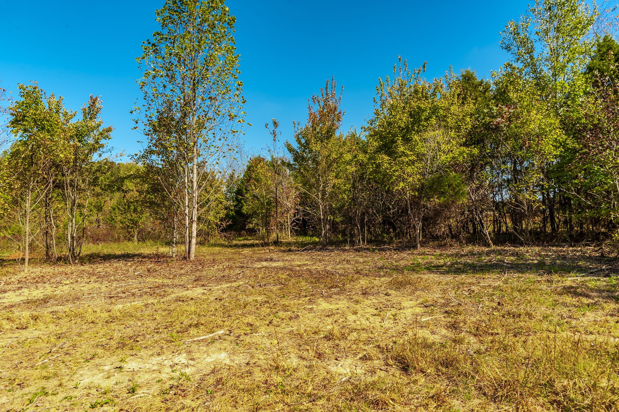 5 Rock Bridge Road Bethpage, TN 37022 - Photo 10 of 19 a view of a yard with a house