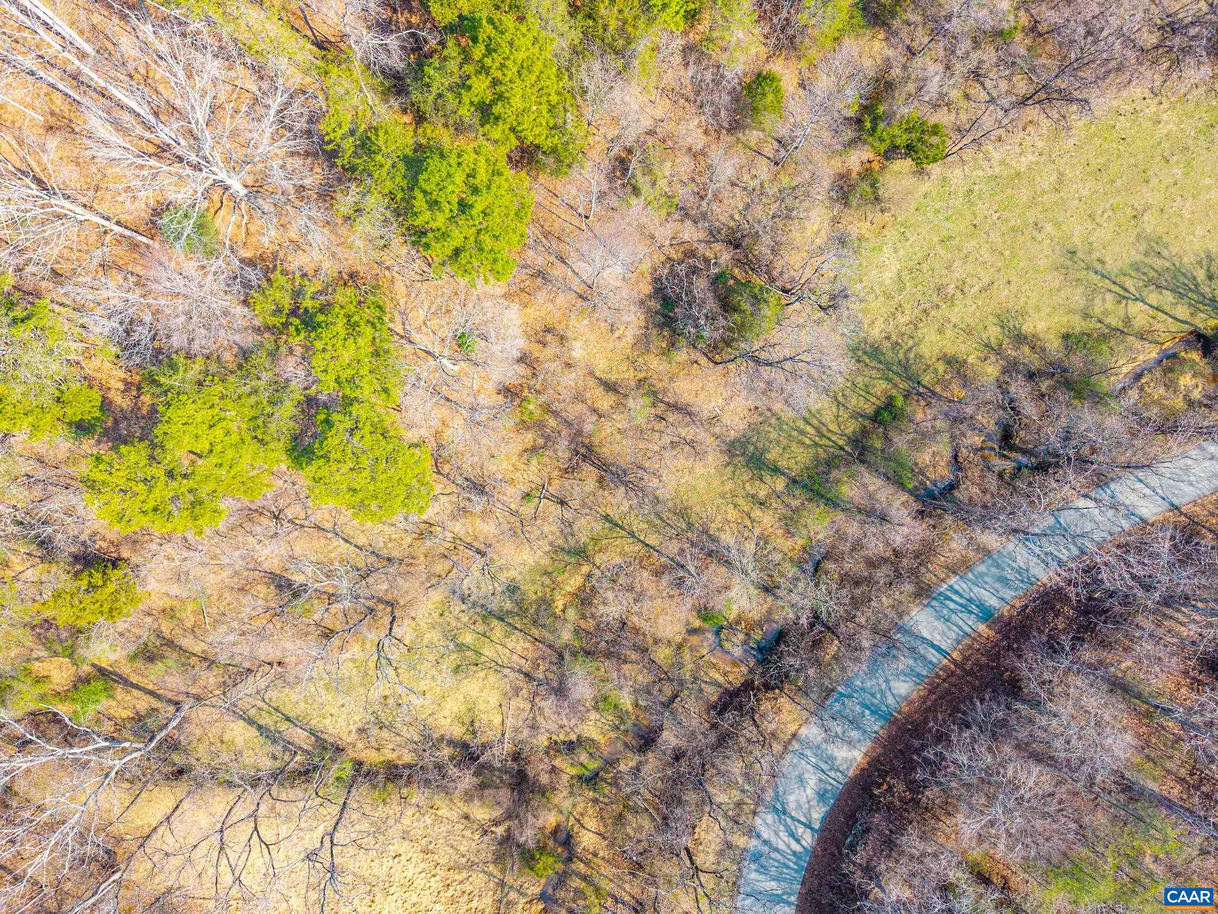 Puppy Creek Road Amherst, VA 24521 - Photo 13 of 39