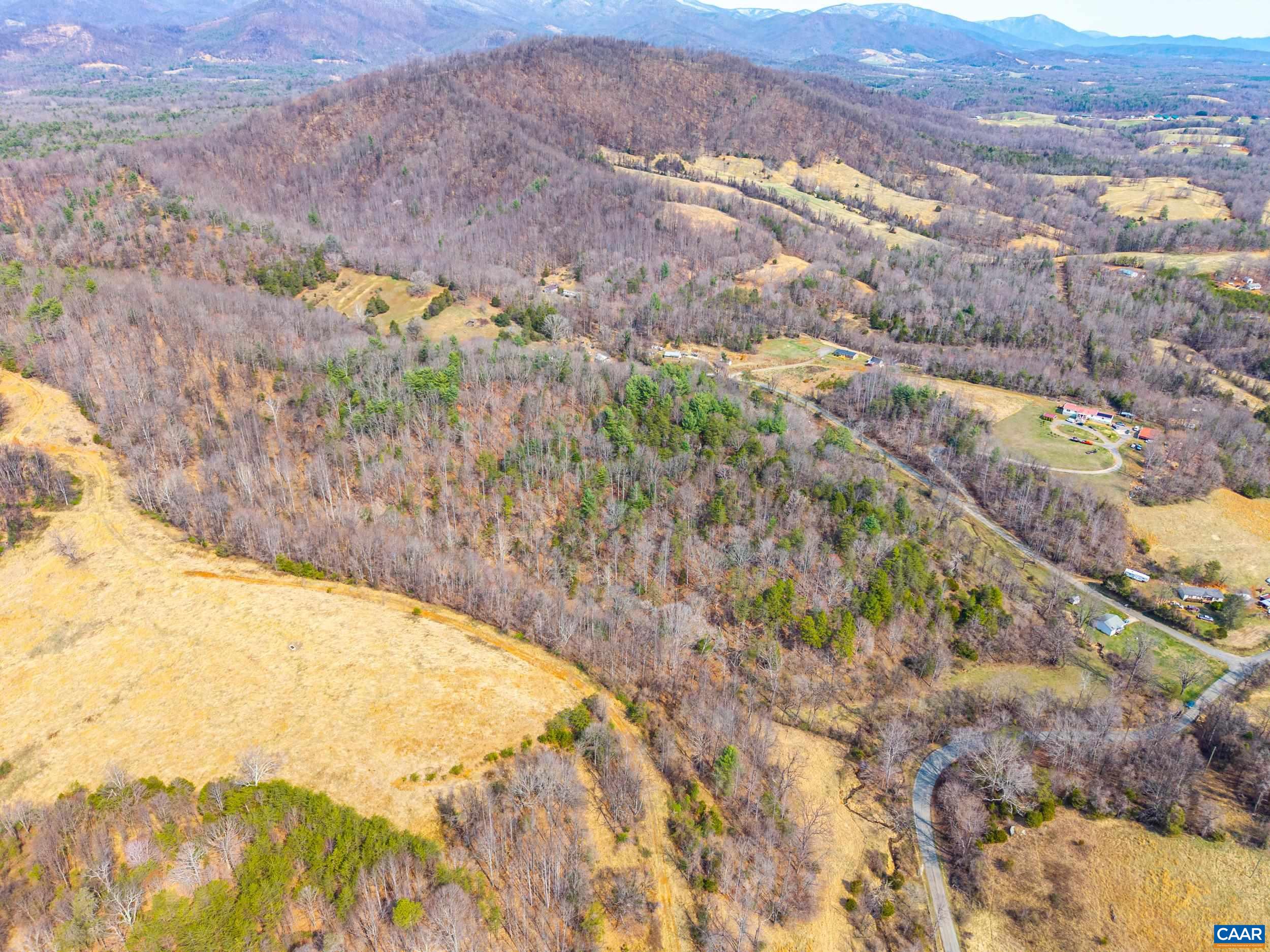 Puppy Creek Road Amherst, VA 24521 - Photo 17 of 39
