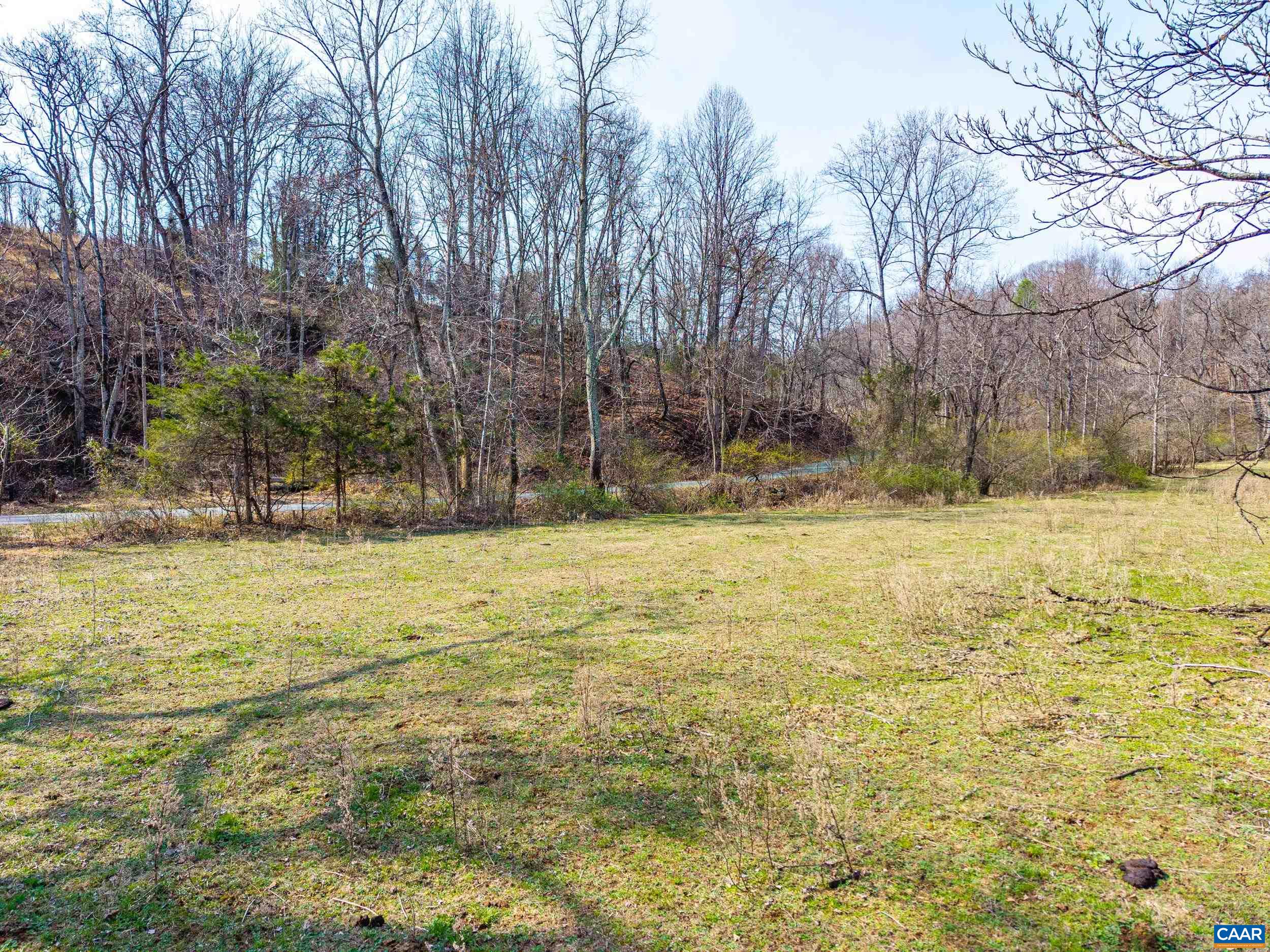 Puppy Creek Road Amherst, VA 24521 - Photo 10 of 39