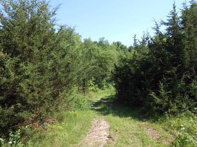 0 Frontage Road Hazel Green, WI 53811 - Photo 19 of 21 Gallery Image 19