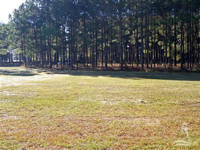9258 Oldfield Road Calabash, NC 28467 - Photo 1 of 2 Primary Photo