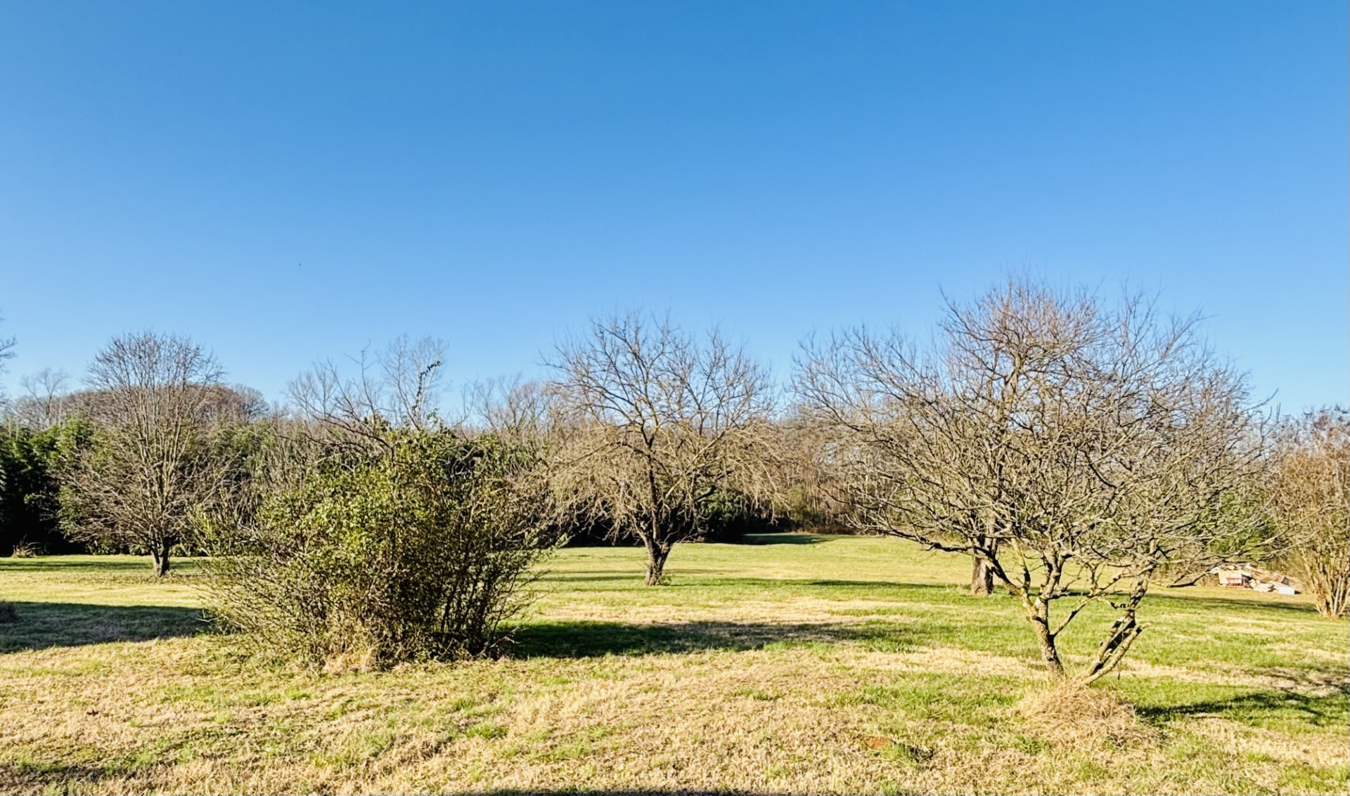 510 Gant Road Shelbyville, TN 37160 - Photo 29 of 35 a view of yard with swimming pool and trees