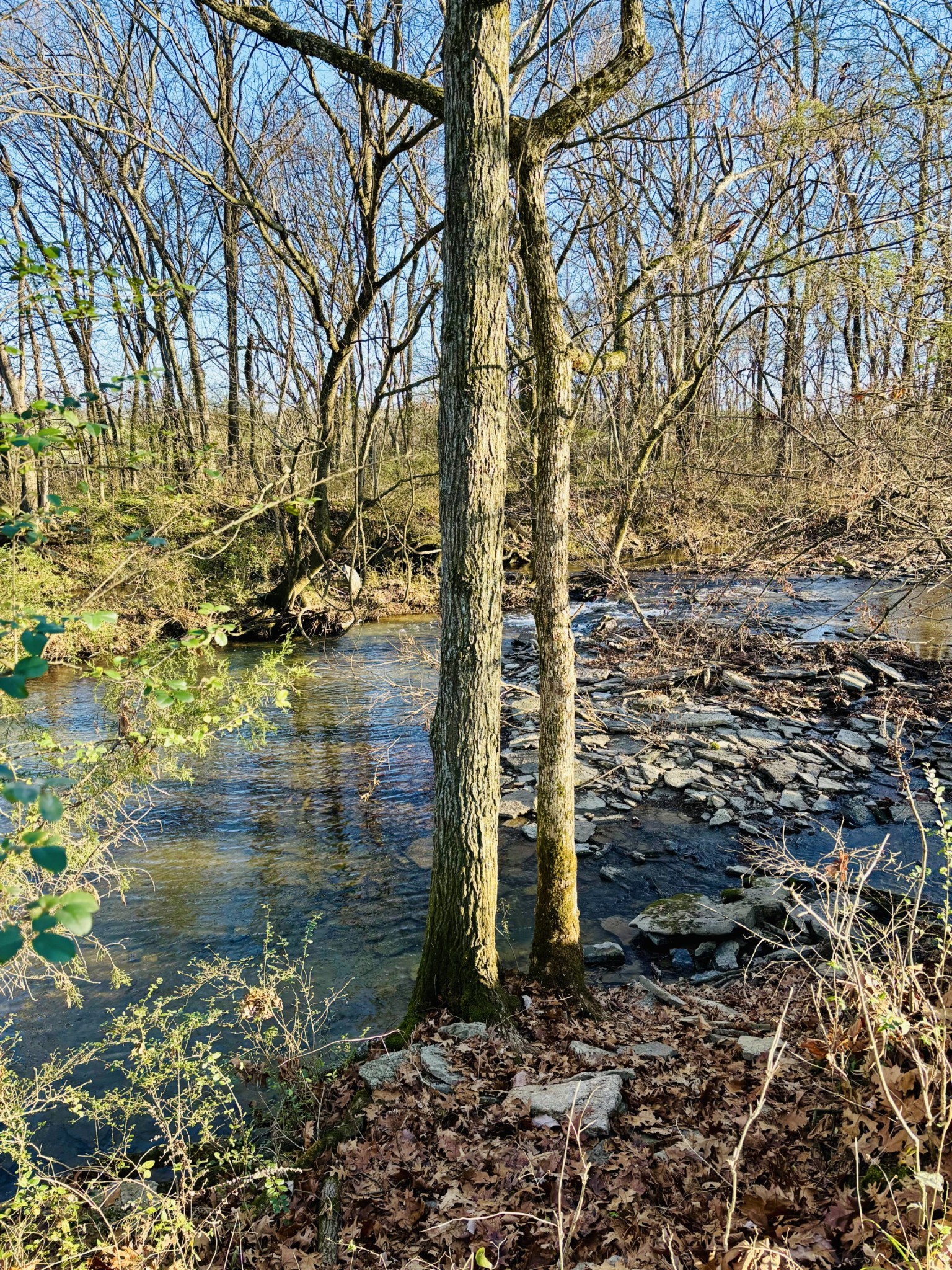 510 Gant Road Shelbyville, TN 37160 - Photo 32 of 35 a view of a lake view