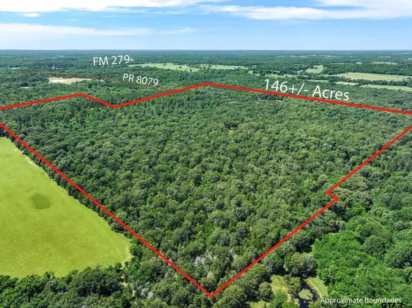 $1,460,000 | 8079 Ben Wheeler Tx 75754, Ben Wheeler, TX 75754