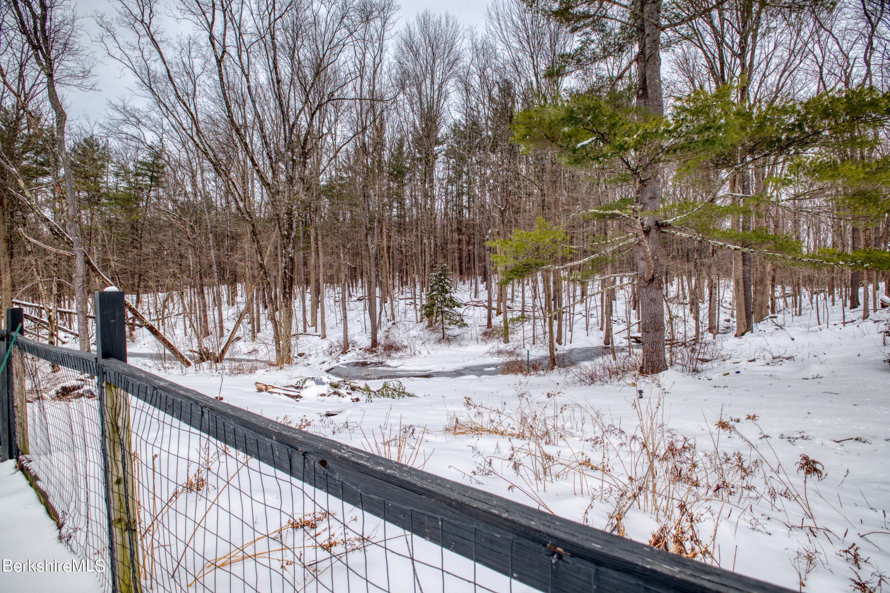 2500 State Road Richmond, MA 01254 - Photo 27 of 35 a view of a backyard of the house