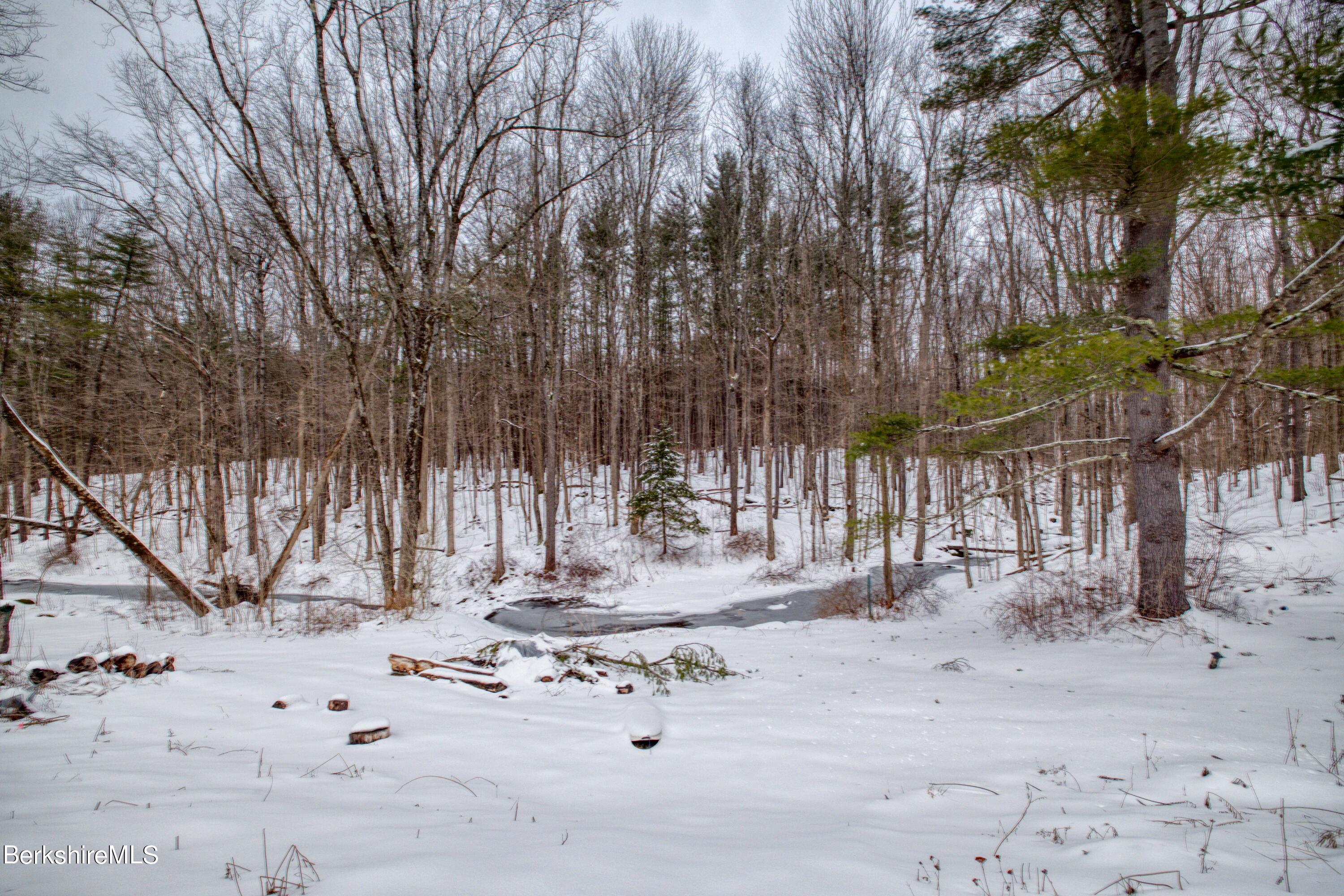 2500 State Road Richmond, MA 01254 - Photo 28 of 35 a view of outdoor space with trees