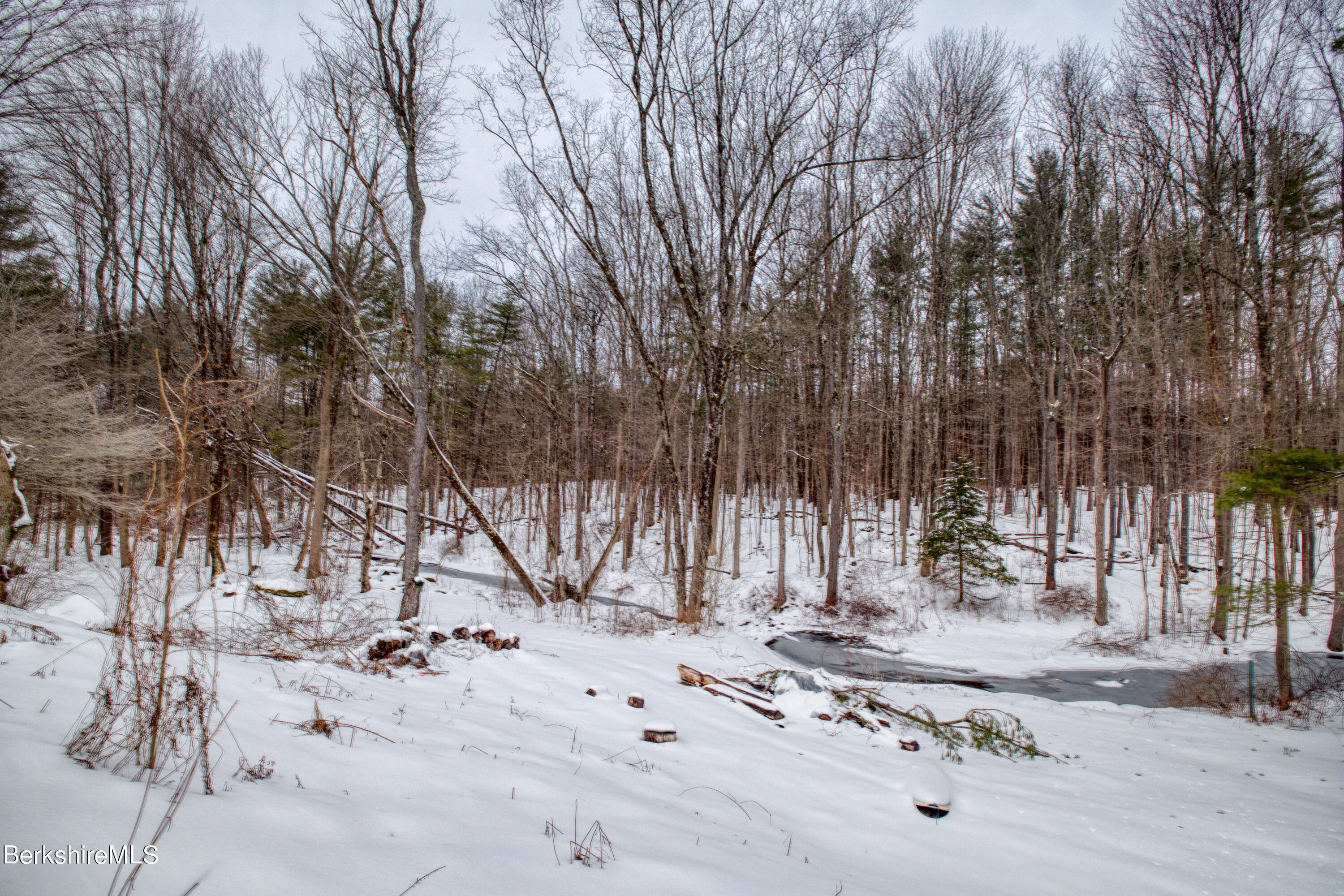 2500 State Road Richmond, MA 01254 - Photo 29 of 35 a view of a yard with snow on the road