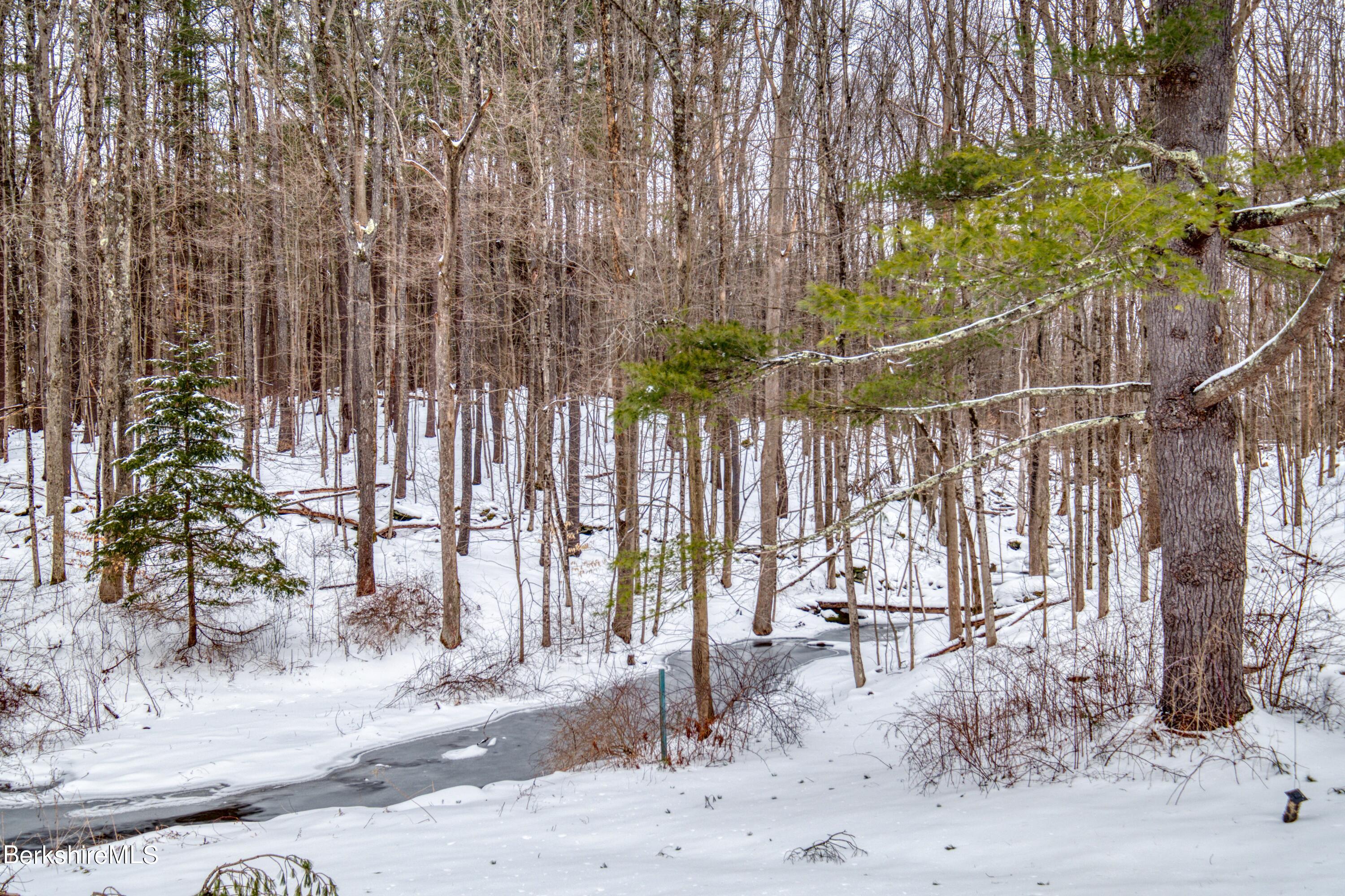 2500 State Road Richmond, MA 01254 - Photo 30 of 35 a view of outdoor space with seating area