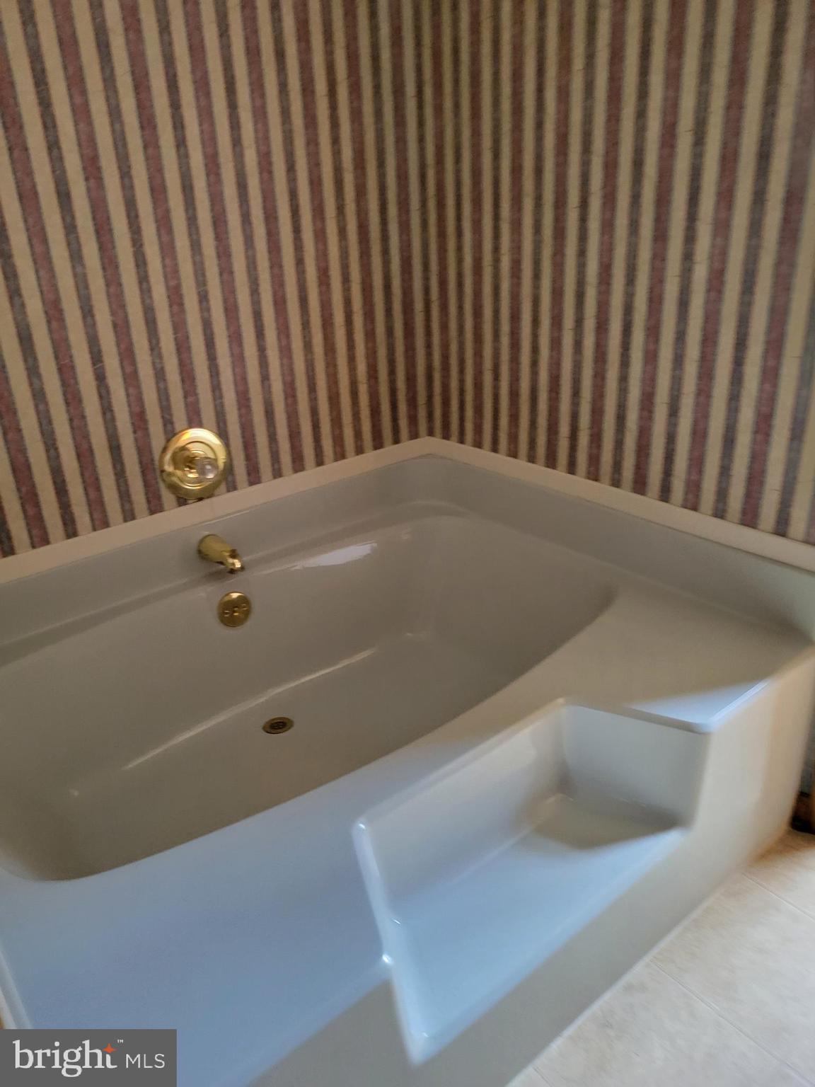 45 Stockington Road Woodstown, NJ 08098 - Photo 22 of 32 spacious tub