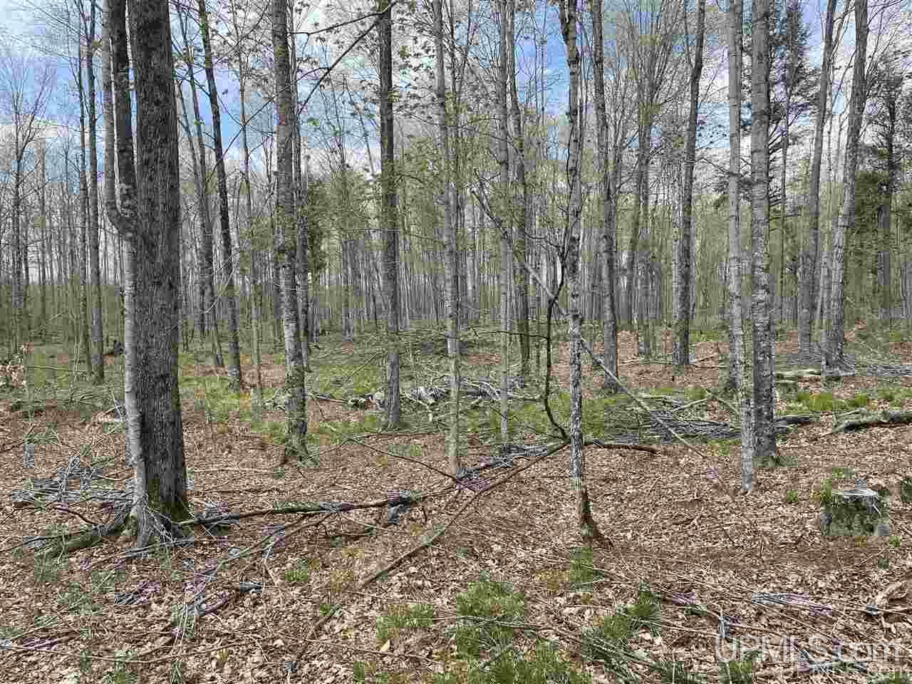 Tbd Tbd Truax Road, Unit 1 Cornell, MI 49818 - Photo 26 of 43