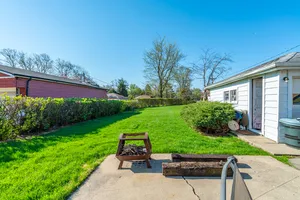 a view of a park with large trees