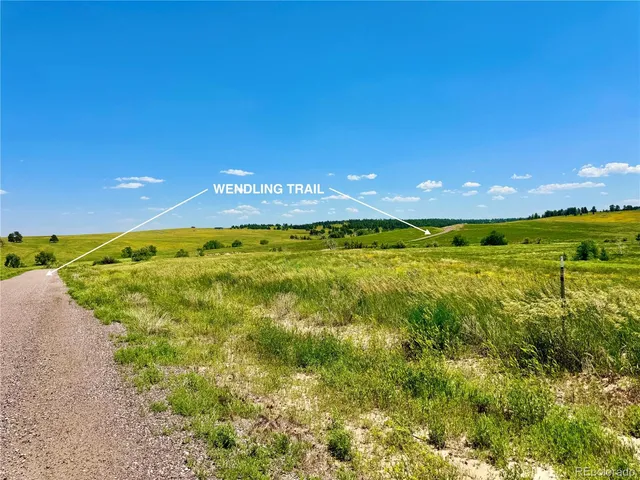 a view of an ocean from a yard