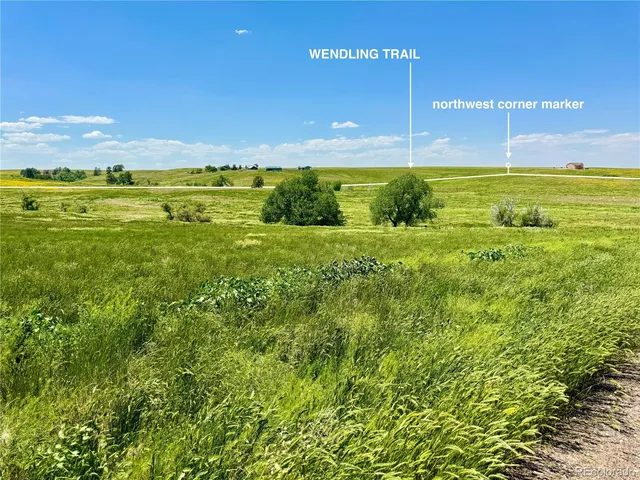 a view of an ocean from a yard