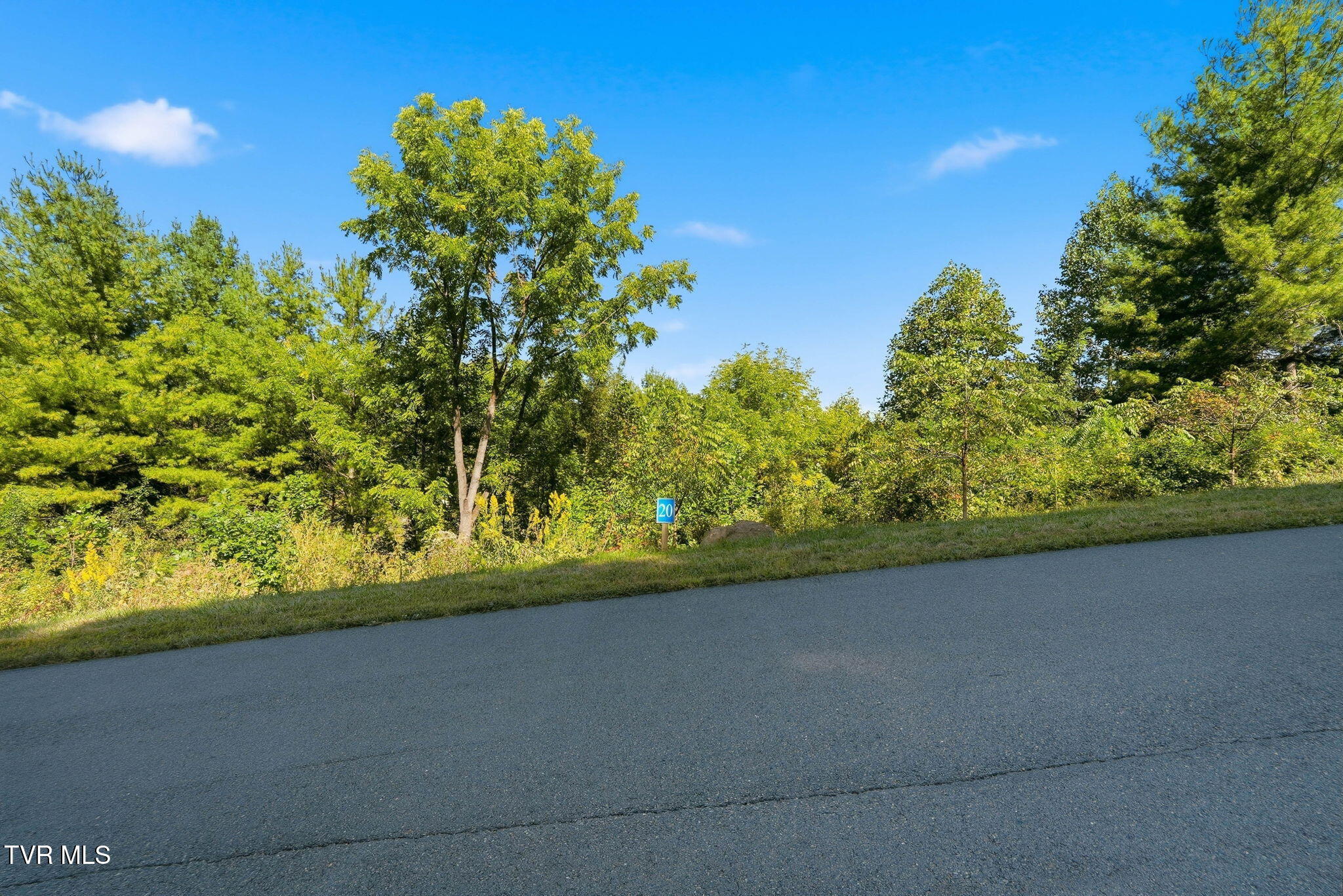 Lot 20 Cowan Town Road Butler, TN 37640 - Photo 11 of 24 10-web-or-mls-Lot 20 Cowan Town Rd-4