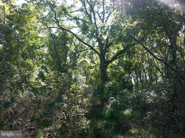 Lot 1 East Rock Road Perkasie, PA 18944 - Photo 11 of 18 Gallery Image 11