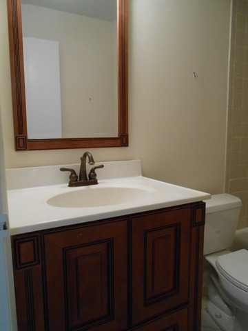 892 South Plum Grove Road, Unit 103 Palatine, IL 60067 - Photo 11 of 14 a bathroom with a sink vanity and a toilet