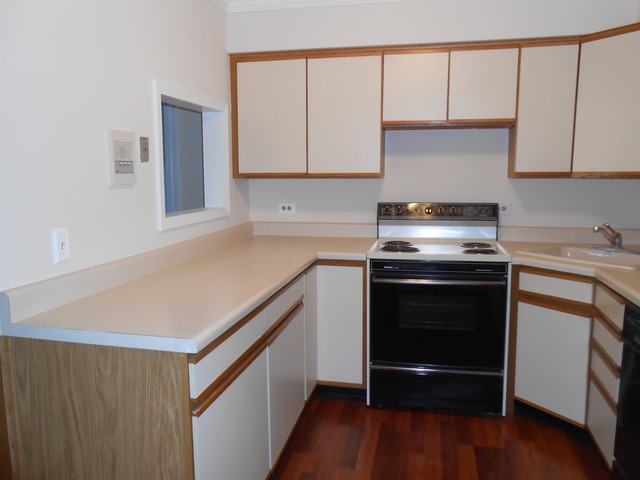 892 South Plum Grove Road, Unit 103 Palatine, IL 60067 - Photo 5 of 14 a kitchen with a sink stove and cabinets