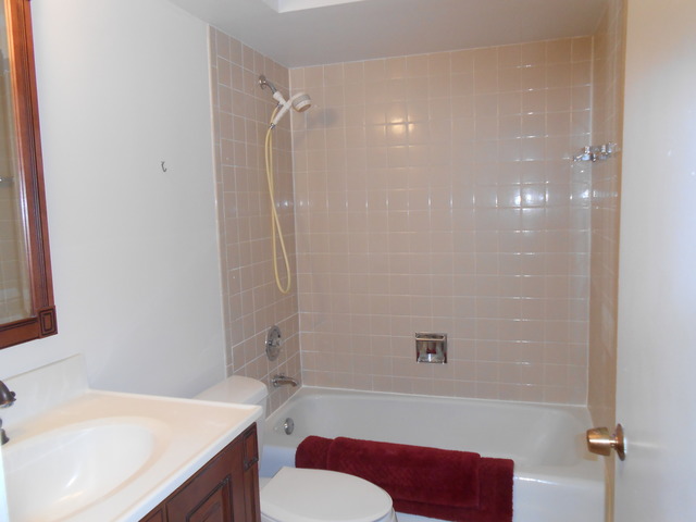 892 South Plum Grove Road, Unit 103 Palatine, IL 60067 - Photo 10 of 14 a bathroom with a sink and a mirror