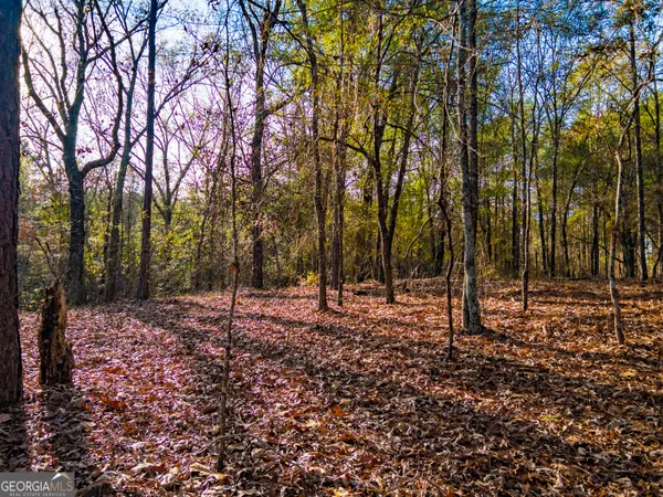 $100,000 | 0 Roberta Highway, Butler, GA 31006