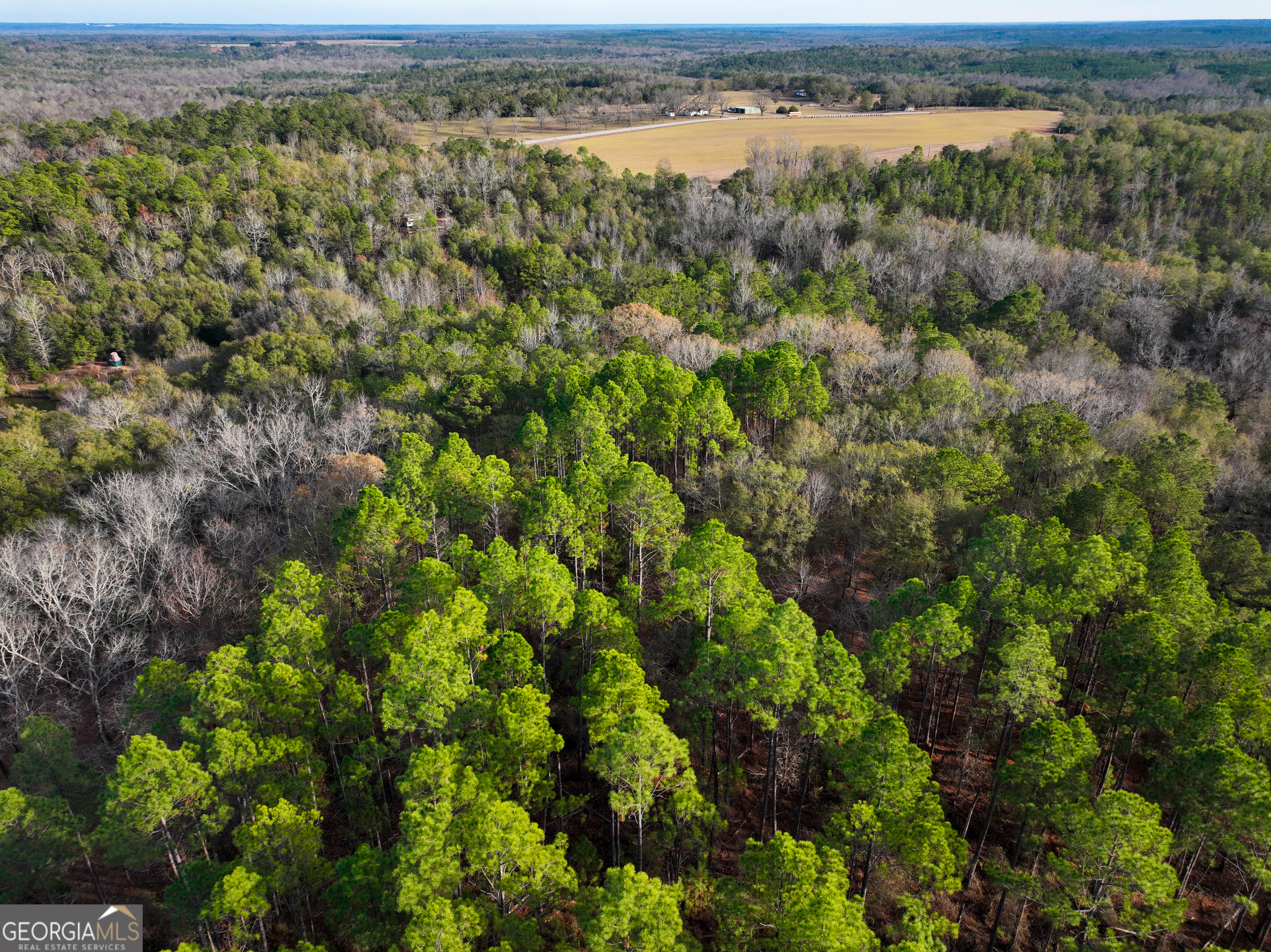 0 Roberta Highway Butler, GA 31006 - Photo 11 of 14