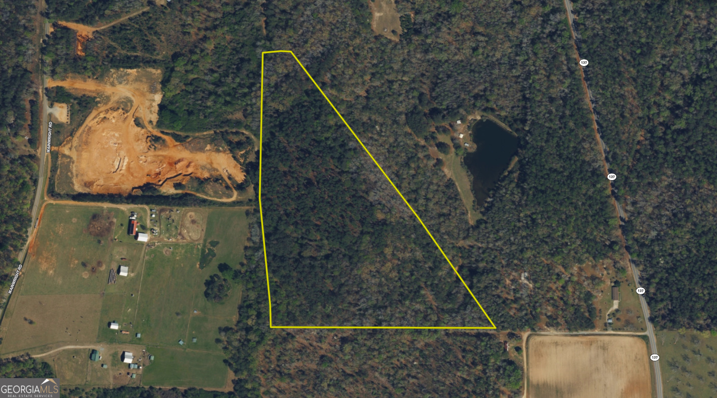 0 Roberta Highway Butler, GA 31006 - Photo 12 of 14