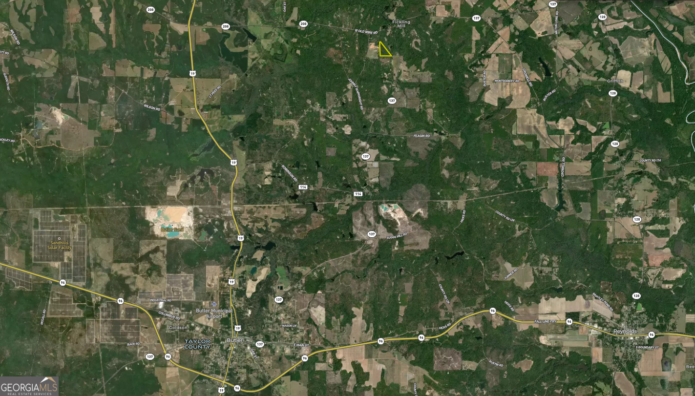 0 Roberta Highway Butler, GA 31006 - Photo 14 of 14